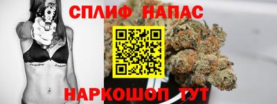 МДПВ Тара