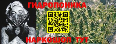 Альфа ПВП Татарск