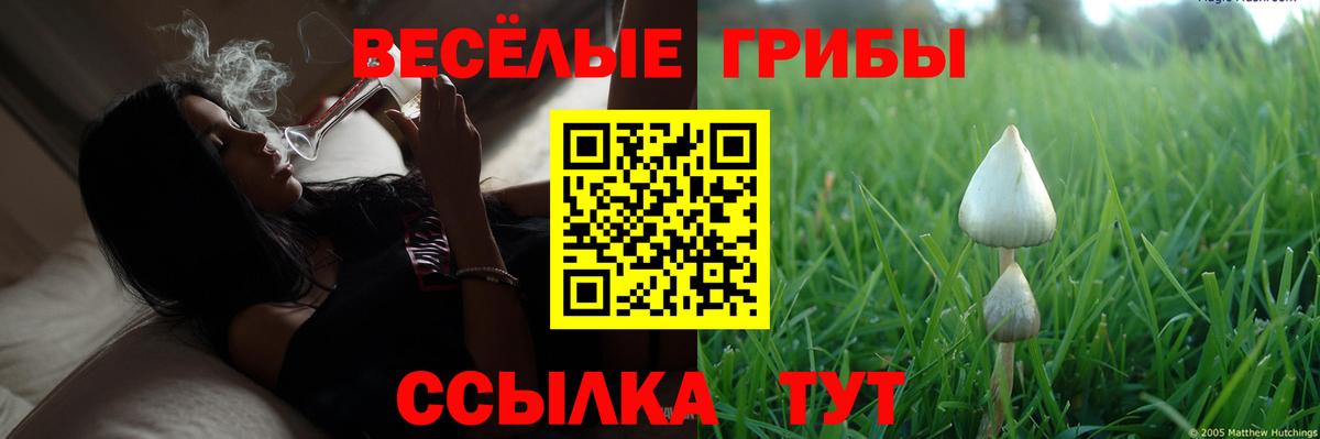 Астрахань  Галлюциногенные грибы Psilocybe  Вход с VPN 